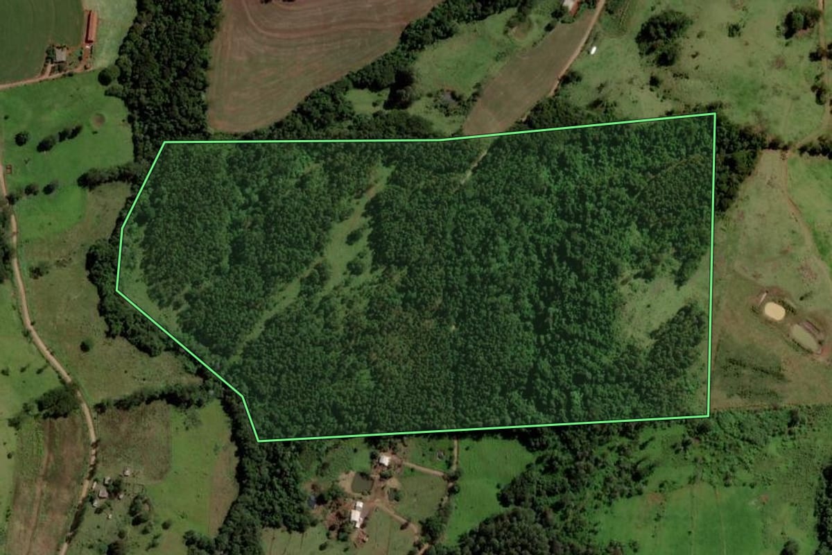 Imagem de satélite do imóvel rural em Boa Vista da Aparecida (PR), com o contorno declarado no CAR desenhado por cima.