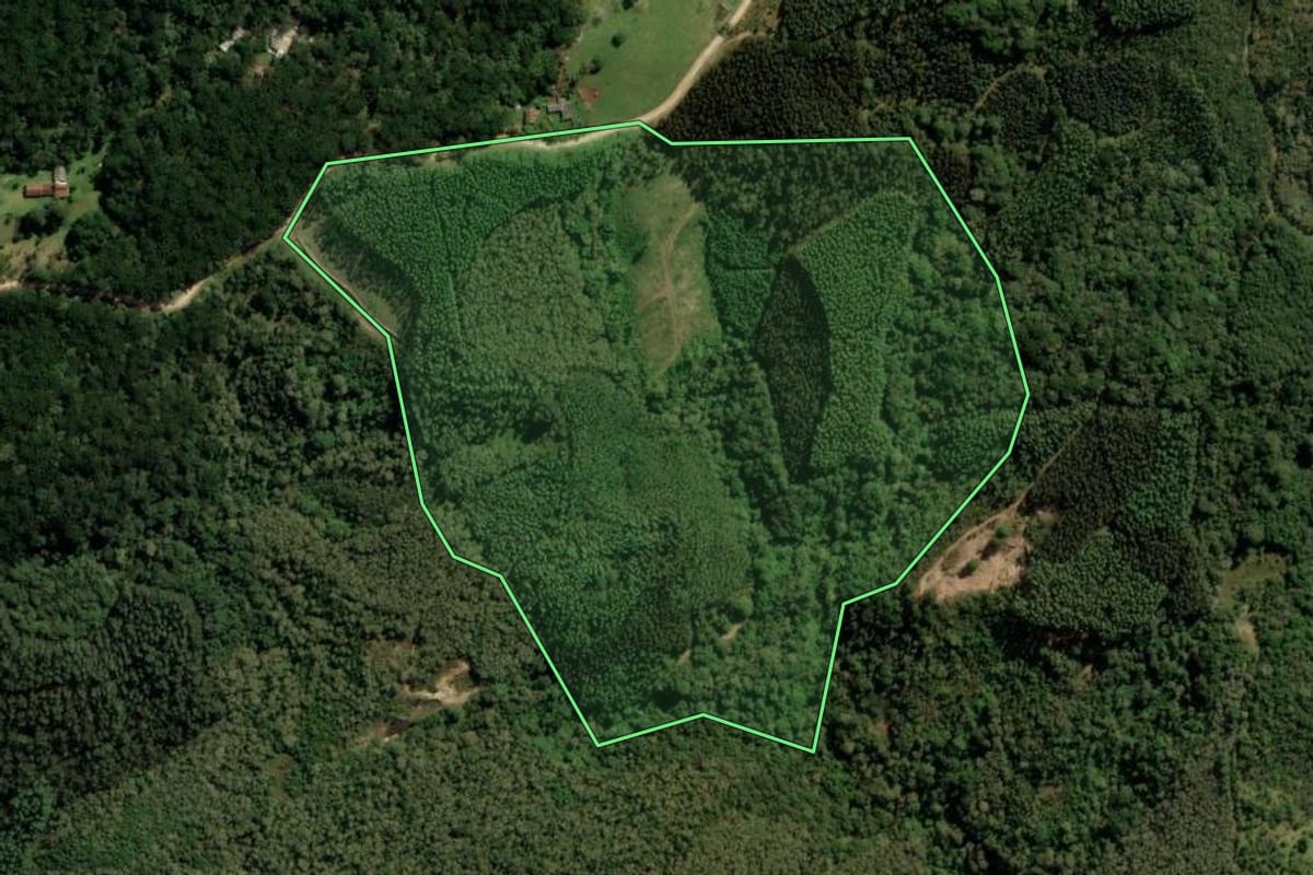 Imagem de satélite do imóvel rural em Bocaiúva do Sul (PR), com o contorno declarado no CAR desenhado por cima.