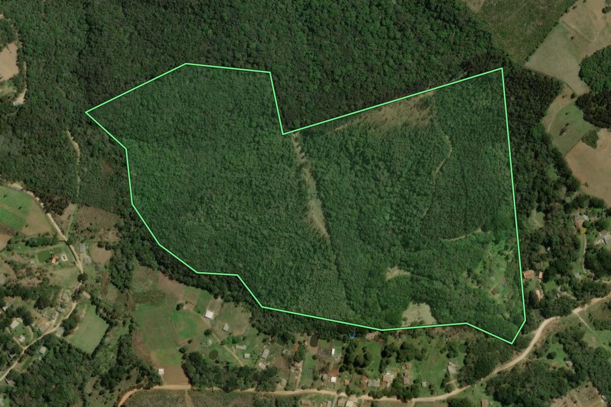 Imagem de satélite do imóvel rural em Bocaiúva do Sul (PR), com o contorno declarado no CAR desenhado por cima.