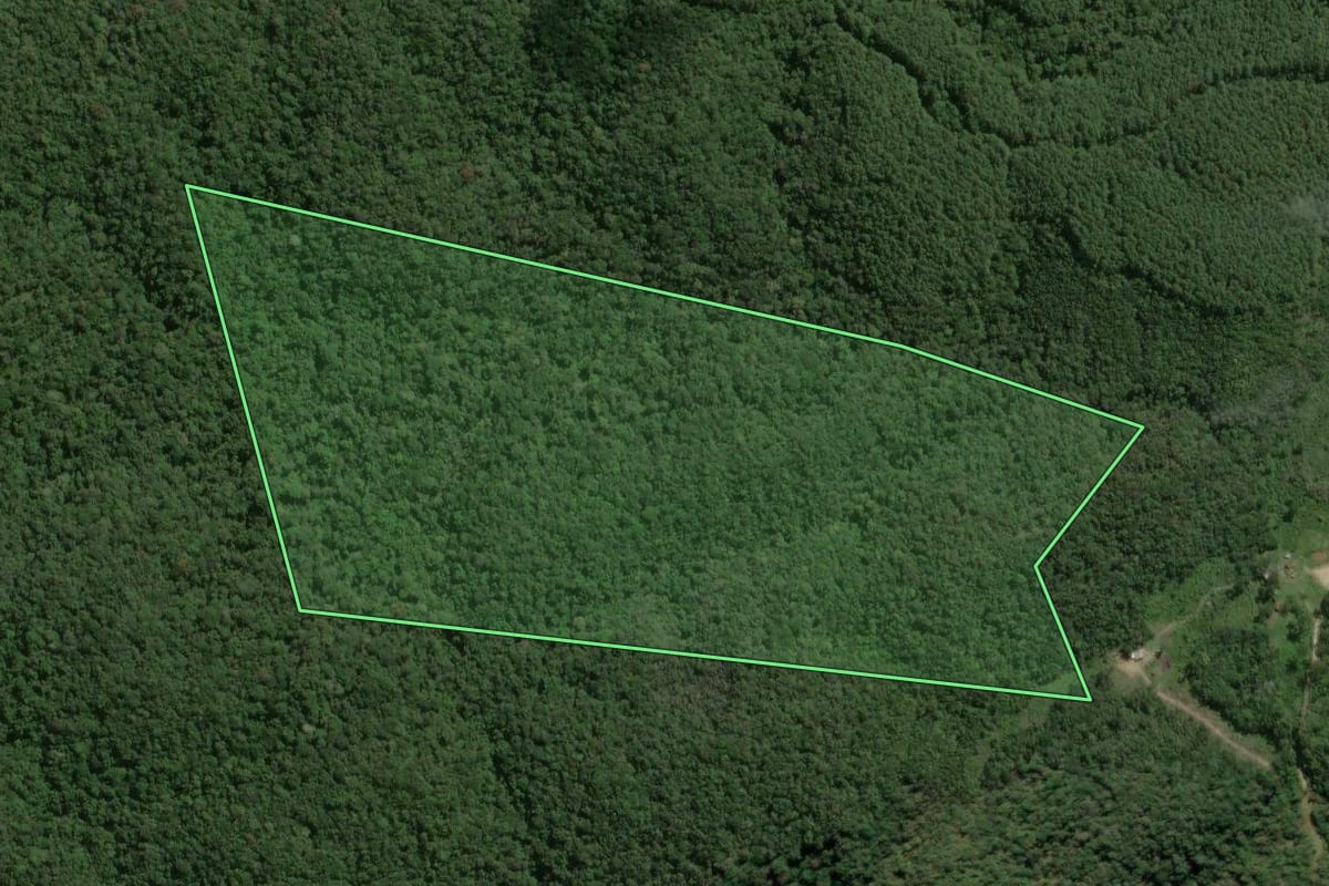 Imagem de satélite do imóvel rural em Bocaiúva do Sul (PR), com o contorno declarado no CAR desenhado por cima.
