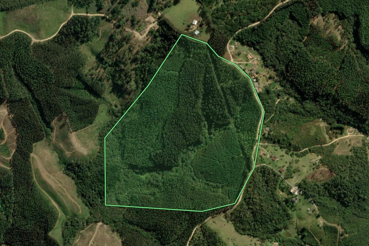 Imagem de satélite do imóvel rural em Bocaiúva do Sul (PR), com o contorno declarado no CAR desenhado por cima.