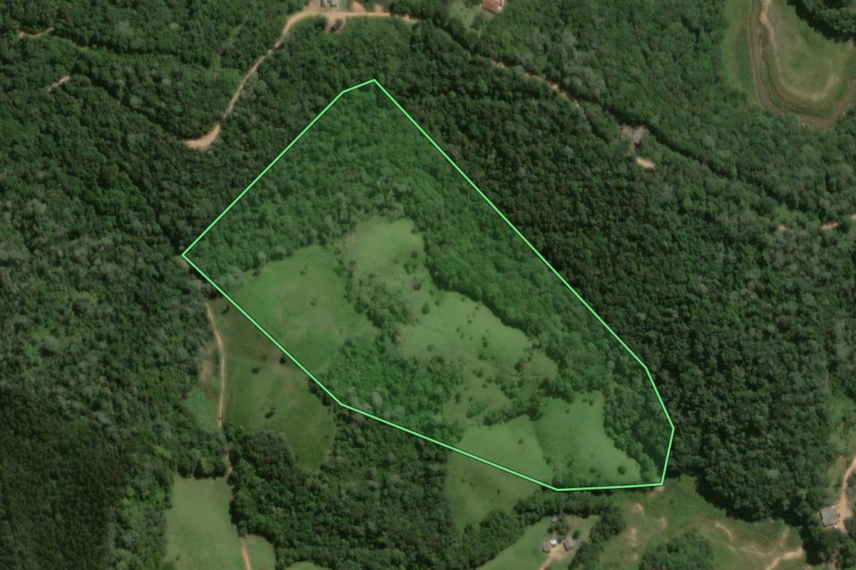 Imagem de satélite do imóvel rural em Bocaiúva do Sul (PR), com o contorno declarado no CAR desenhado por cima.
