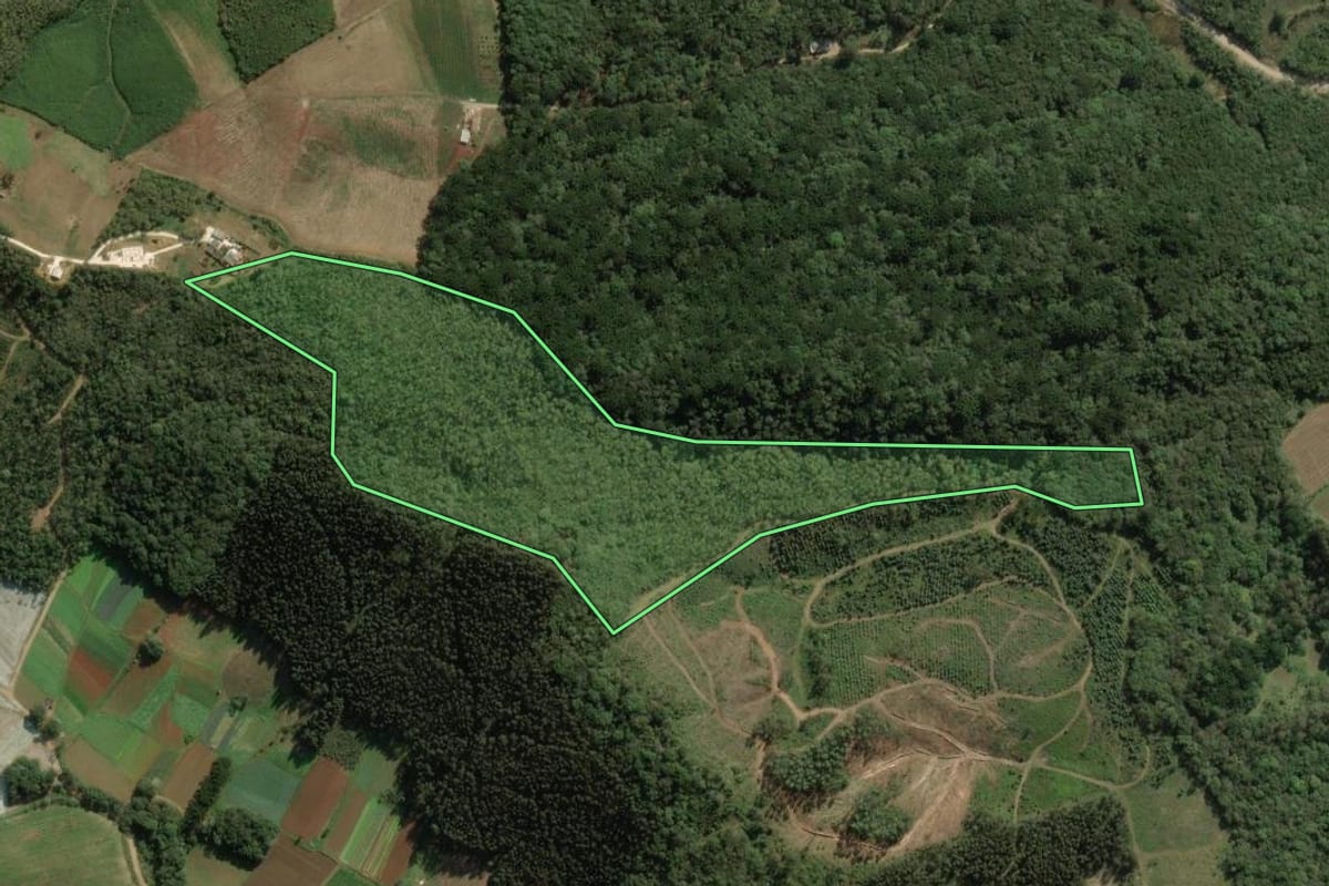 Imagem de satélite do imóvel rural em Bocaiúva do Sul (PR), com o contorno declarado no CAR desenhado por cima.