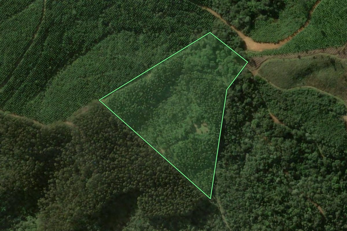 Imagem de satélite do imóvel rural em Bocaiúva do Sul (PR), com o contorno declarado no CAR desenhado por cima.