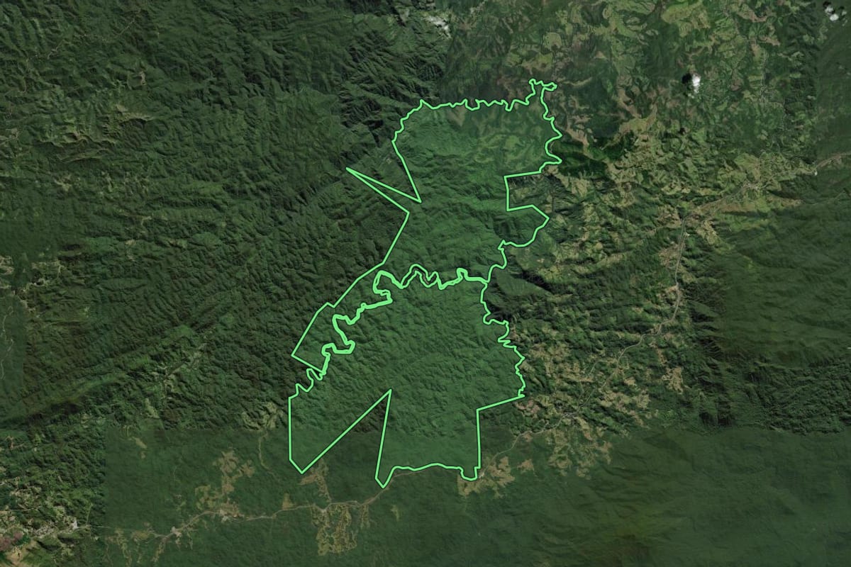 Imagem de satélite do imóvel rural em Campina Grande do Sul (PR), com o contorno declarado no CAR desenhado por cima.