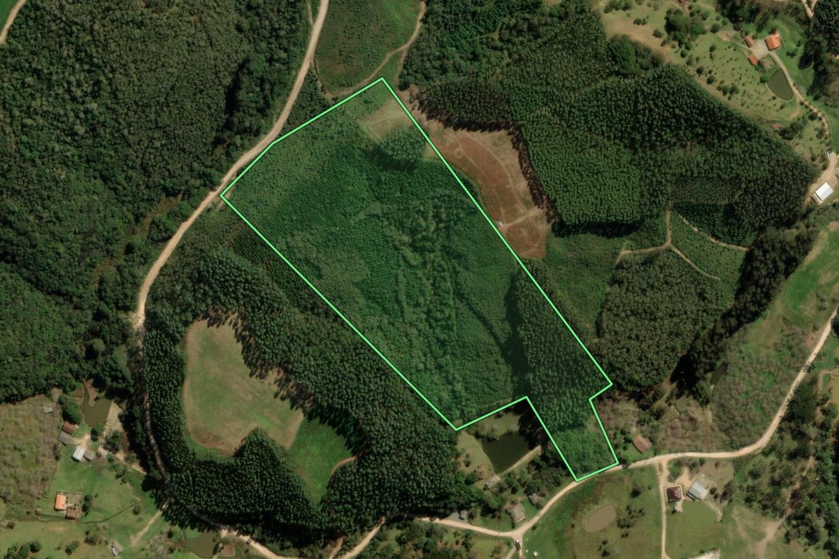 Imagem de satélite do imóvel rural em Bocaiúva do Sul (PR), com o contorno declarado no CAR desenhado por cima.