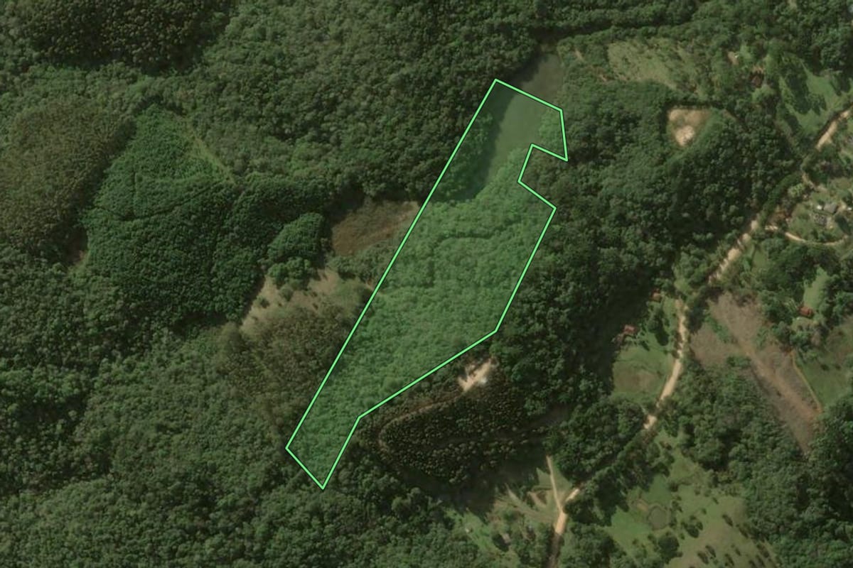 Imagem de satélite do imóvel rural em Bocaiúva do Sul (PR), com o contorno declarado no CAR desenhado por cima.