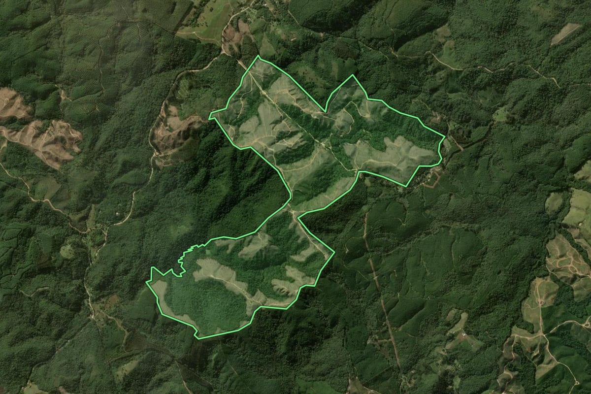 Imagem de satélite do imóvel rural em Bocaiúva do Sul (PR), com o contorno declarado no CAR desenhado por cima.