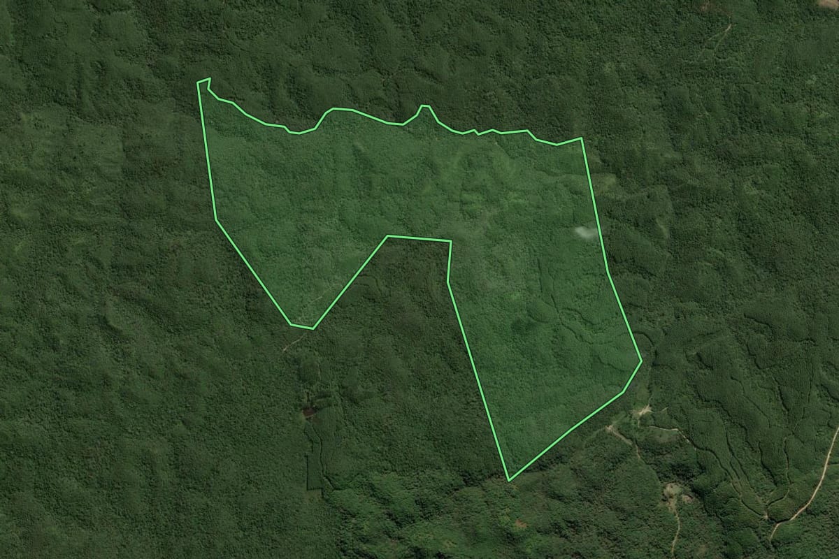 Imagem de satélite do imóvel rural em Bocaiúva do Sul (PR), com o contorno declarado no CAR desenhado por cima.