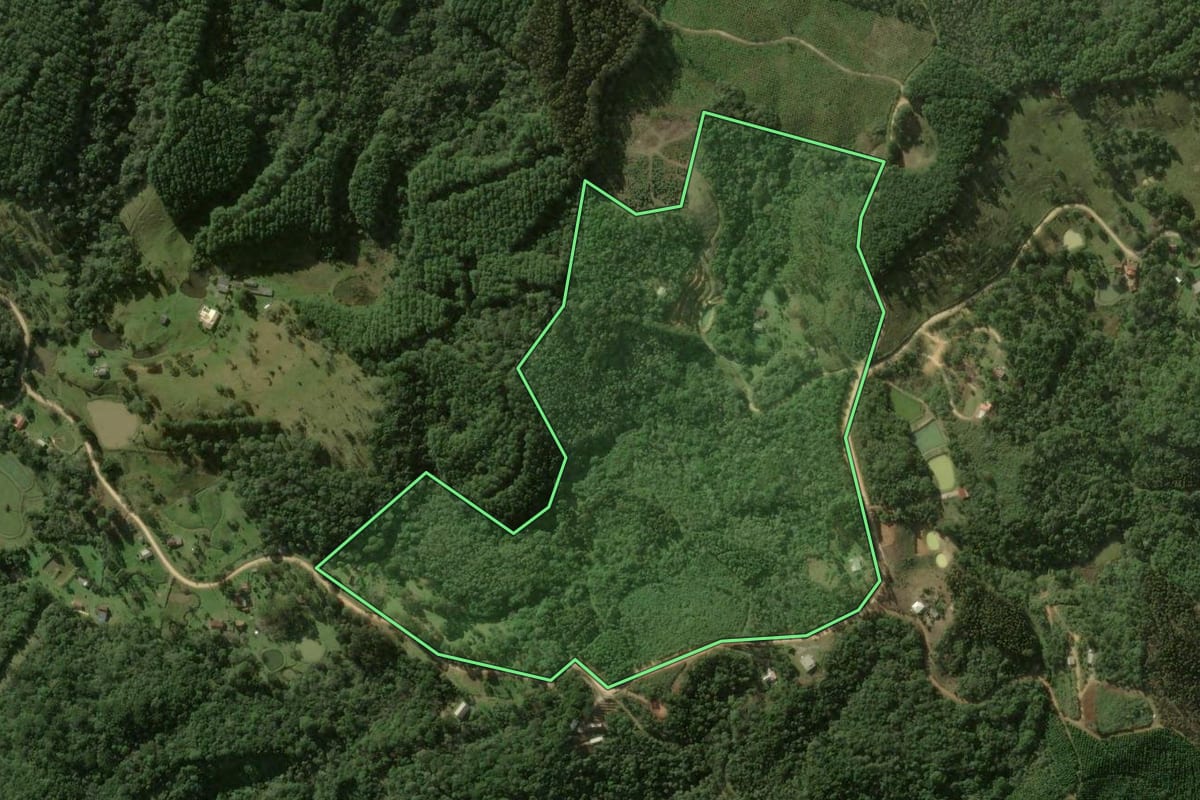Imagem de satélite do imóvel rural em Bocaiúva do Sul (PR), com o contorno declarado no CAR desenhado por cima.