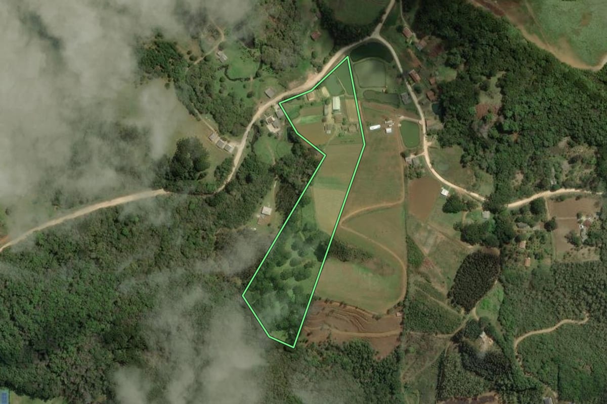 Imagem de satélite do imóvel rural em Bocaiúva do Sul (PR), com o contorno declarado no CAR desenhado por cima.