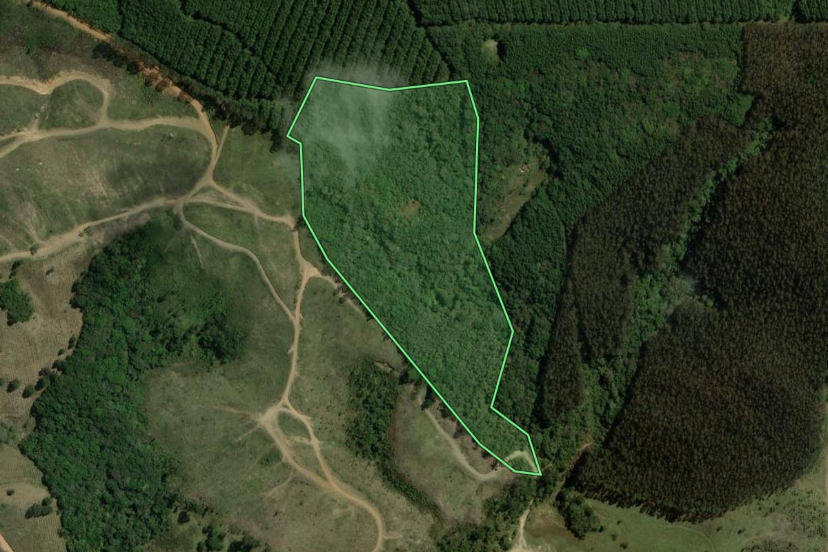Imagem de satélite do imóvel rural em Bocaiúva do Sul (PR), com o contorno declarado no CAR desenhado por cima.