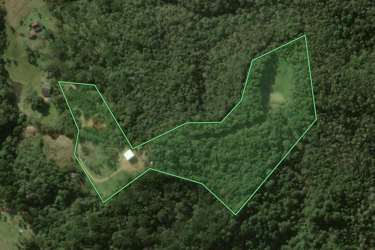 Imagem de satélite do imóvel rural em Bocaiúva do Sul (PR), com o contorno declarado no CAR desenhado por cima.