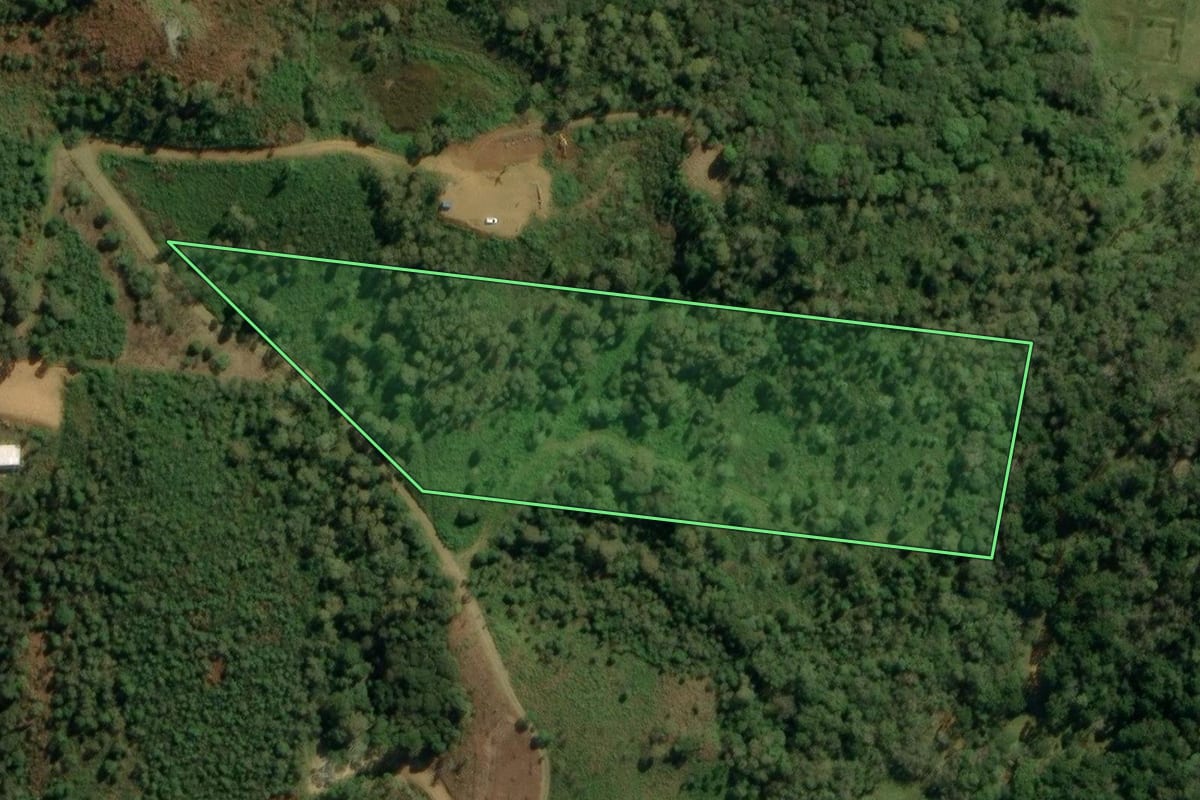 Imagem de satélite do imóvel rural em Bocaiúva do Sul (PR), com o contorno declarado no CAR desenhado por cima.