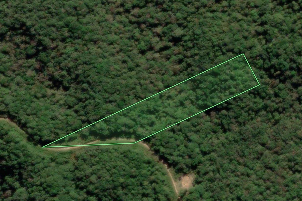 Imagem de satélite do imóvel rural em Bocaiúva do Sul (PR), com o contorno declarado no CAR desenhado por cima.