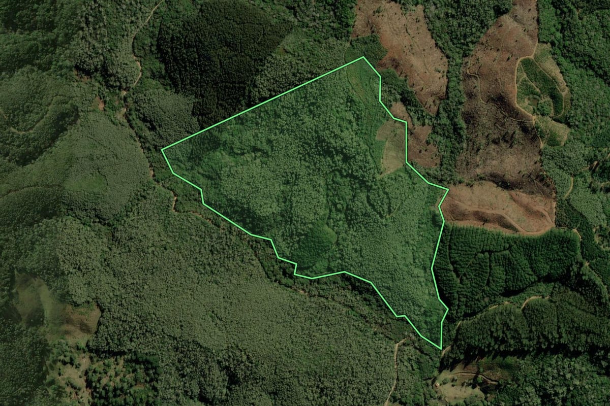 Imagem de satélite do imóvel rural em Bocaiúva do Sul (PR), com o contorno declarado no CAR desenhado por cima.