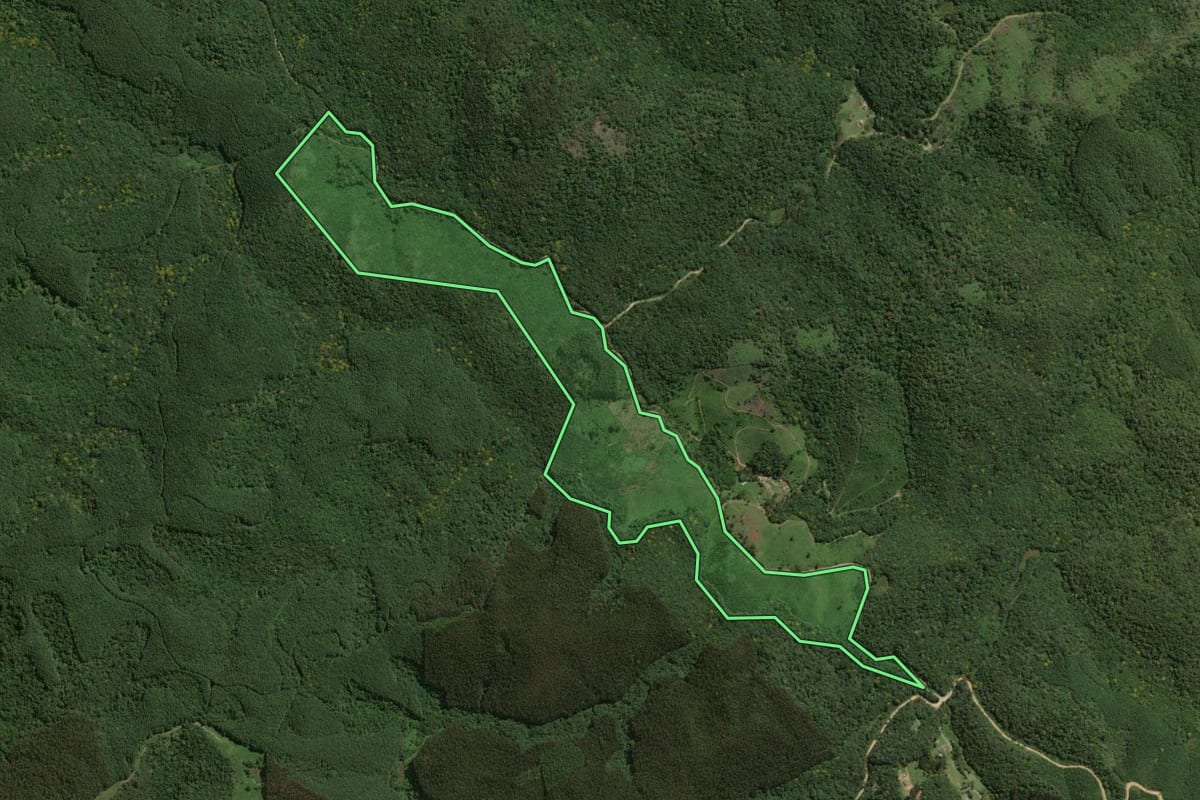 Imagem de satélite do imóvel rural em Bocaiúva do Sul (PR), com o contorno declarado no CAR desenhado por cima.