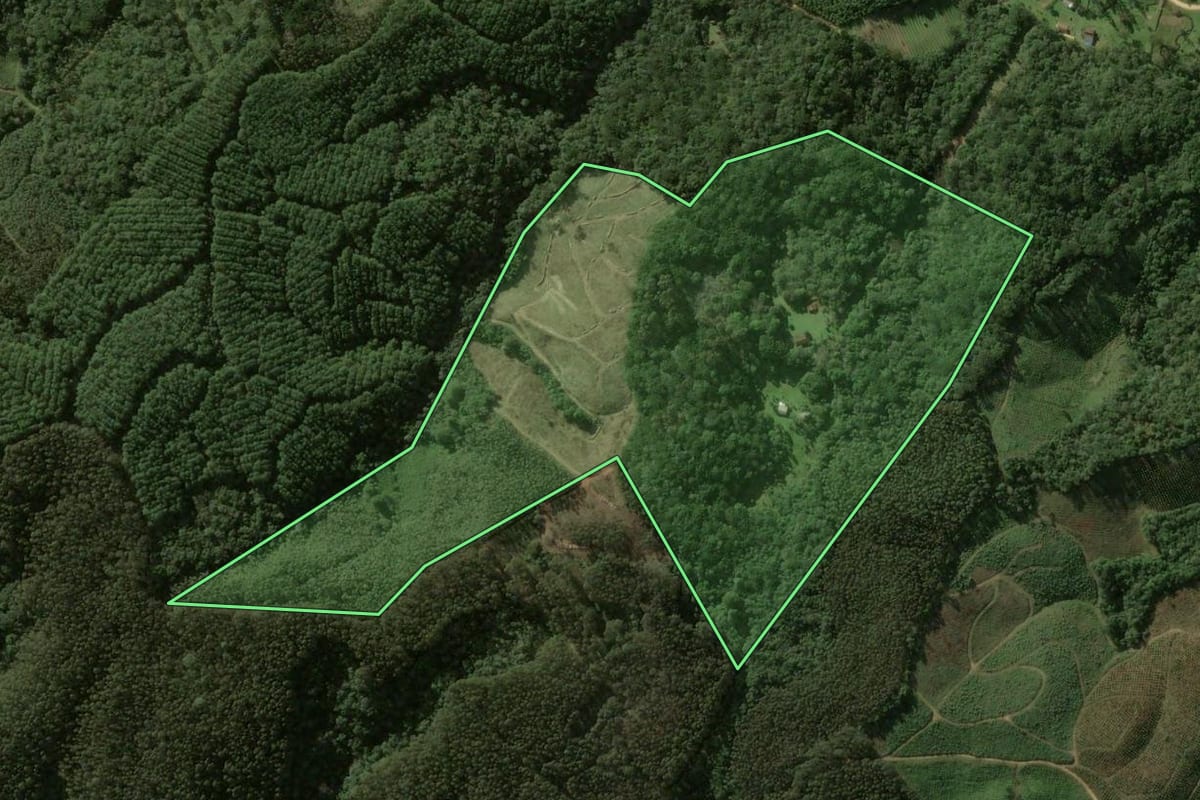 Imagem de satélite do imóvel rural em Bocaiúva do Sul (PR), com o contorno declarado no CAR desenhado por cima.