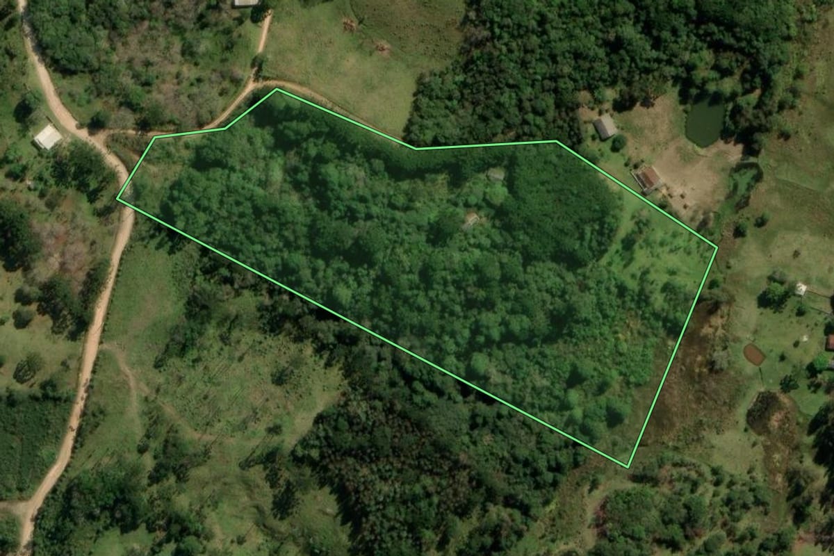 Imagem de satélite do imóvel rural em Bocaiúva do Sul (PR), com o contorno declarado no CAR desenhado por cima.