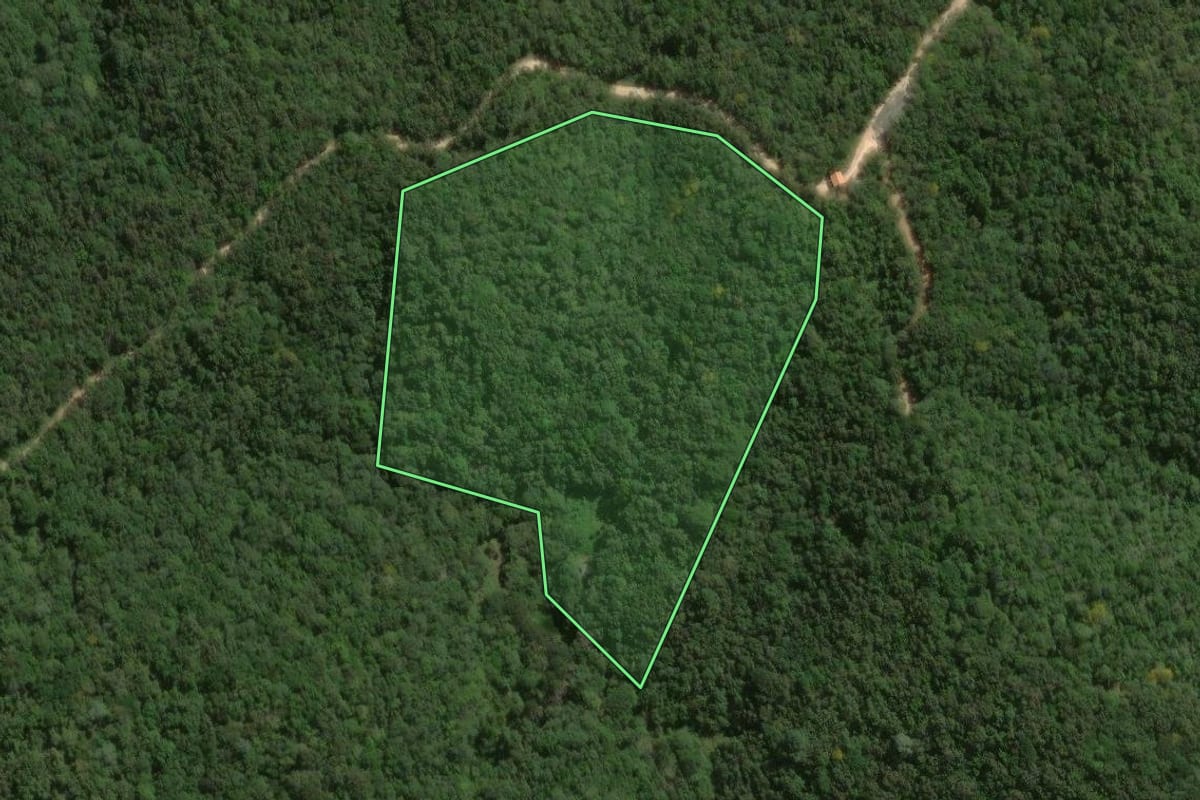 Imagem de satélite do imóvel rural em Bocaiúva do Sul (PR), com o contorno declarado no CAR desenhado por cima.