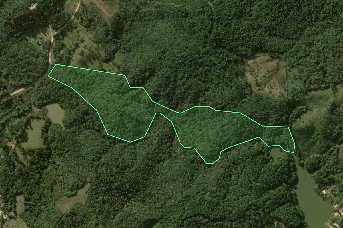 Imagem de satélite do imóvel rural em Bocaiúva do Sul (PR), com o contorno declarado no CAR desenhado por cima.