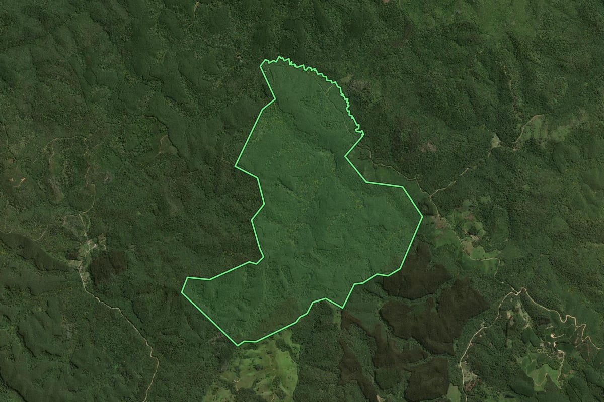 Imagem de satélite do imóvel rural em Bocaiúva do Sul (PR), com o contorno declarado no CAR desenhado por cima.