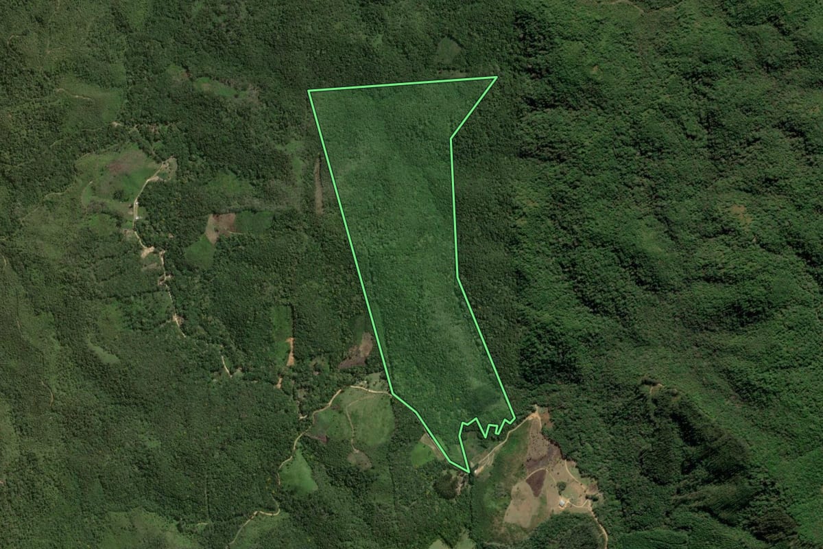 Imagem de satélite do imóvel rural em Bocaiúva do Sul (PR), com o contorno declarado no CAR desenhado por cima.