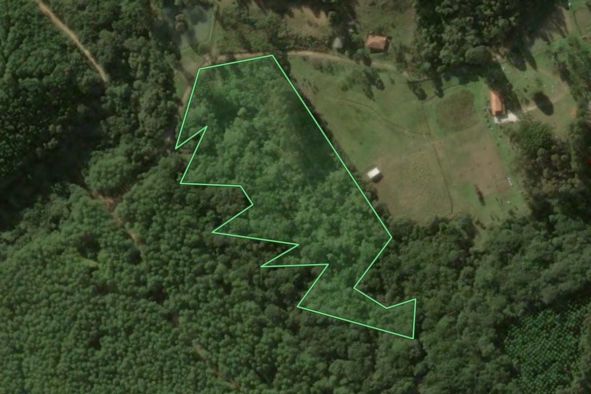 Imagem de satélite do imóvel rural em Bocaiúva do Sul (PR), com o contorno declarado no CAR desenhado por cima.
