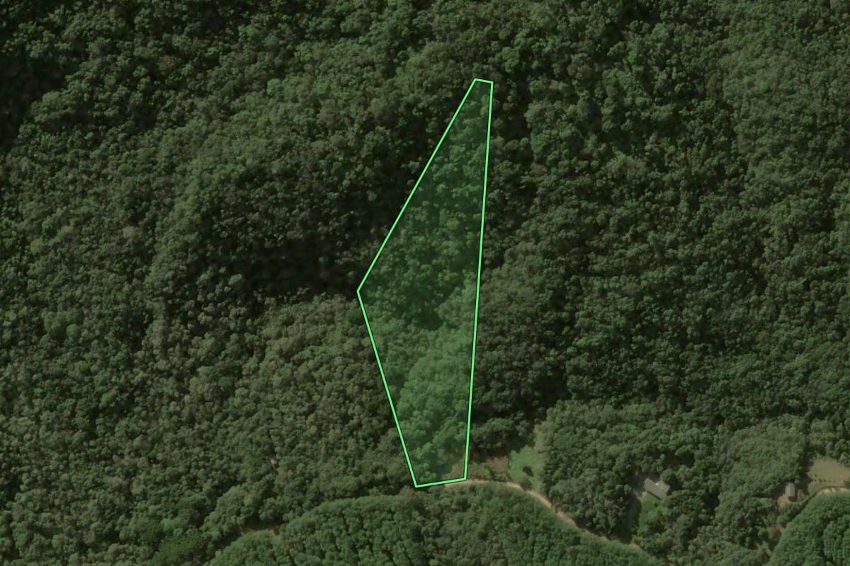 Imagem de satélite do imóvel rural em Bocaiúva do Sul (PR), com o contorno declarado no CAR desenhado por cima.