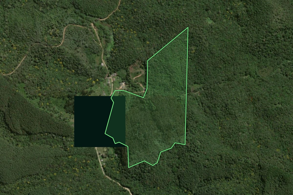 Imagem de satélite do imóvel rural em Bocaiúva do Sul (PR), com o contorno declarado no CAR desenhado por cima.