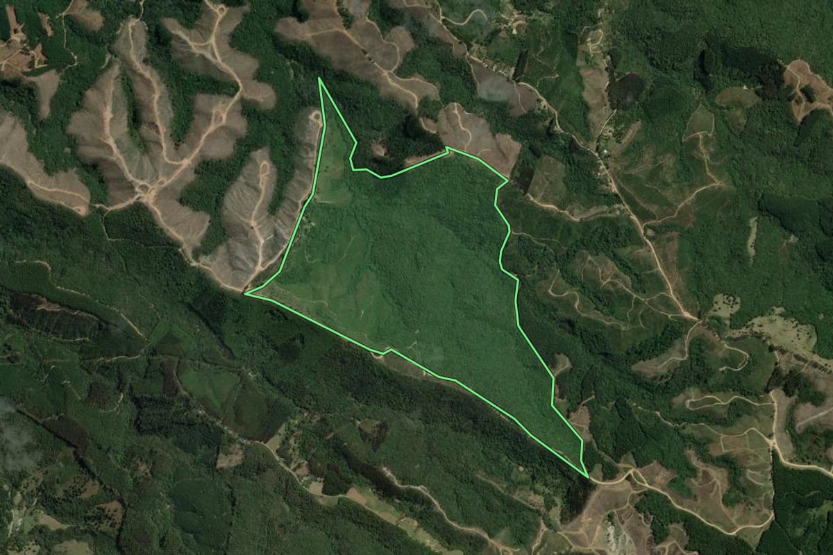 Imagem de satélite do imóvel rural em Bocaiúva do Sul (PR), com o contorno declarado no CAR desenhado por cima.
