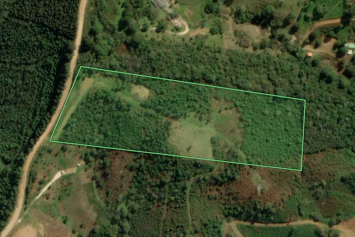 Imagem de satélite do imóvel rural em Bocaiúva do Sul (PR), com o contorno declarado no CAR desenhado por cima.