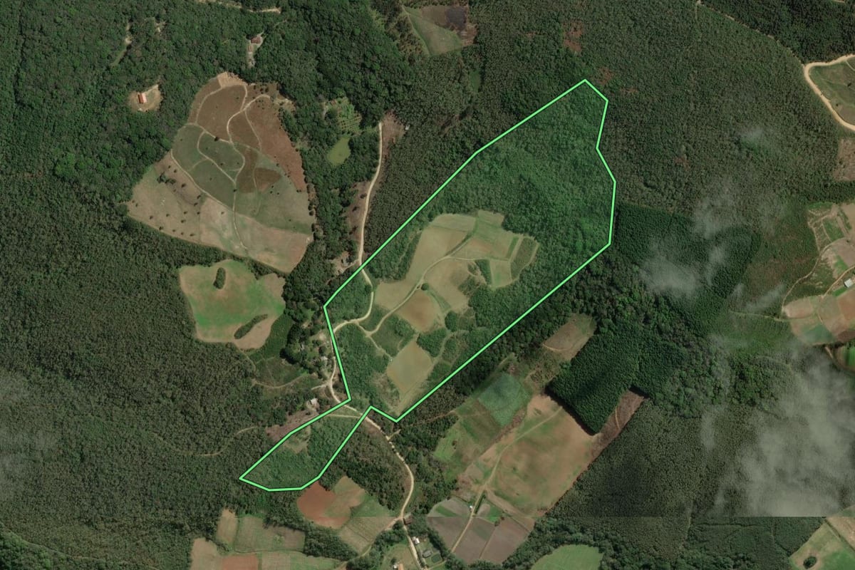 Imagem de satélite do imóvel rural em Bocaiúva do Sul (PR), com o contorno declarado no CAR desenhado por cima.