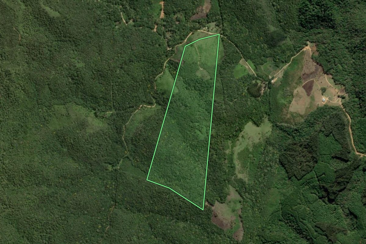 Imagem de satélite do imóvel rural em Bocaiúva do Sul (PR), com o contorno declarado no CAR desenhado por cima.