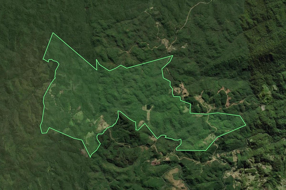 Imagem de satélite do imóvel rural em Bocaiúva do Sul (PR), com o contorno declarado no CAR desenhado por cima.