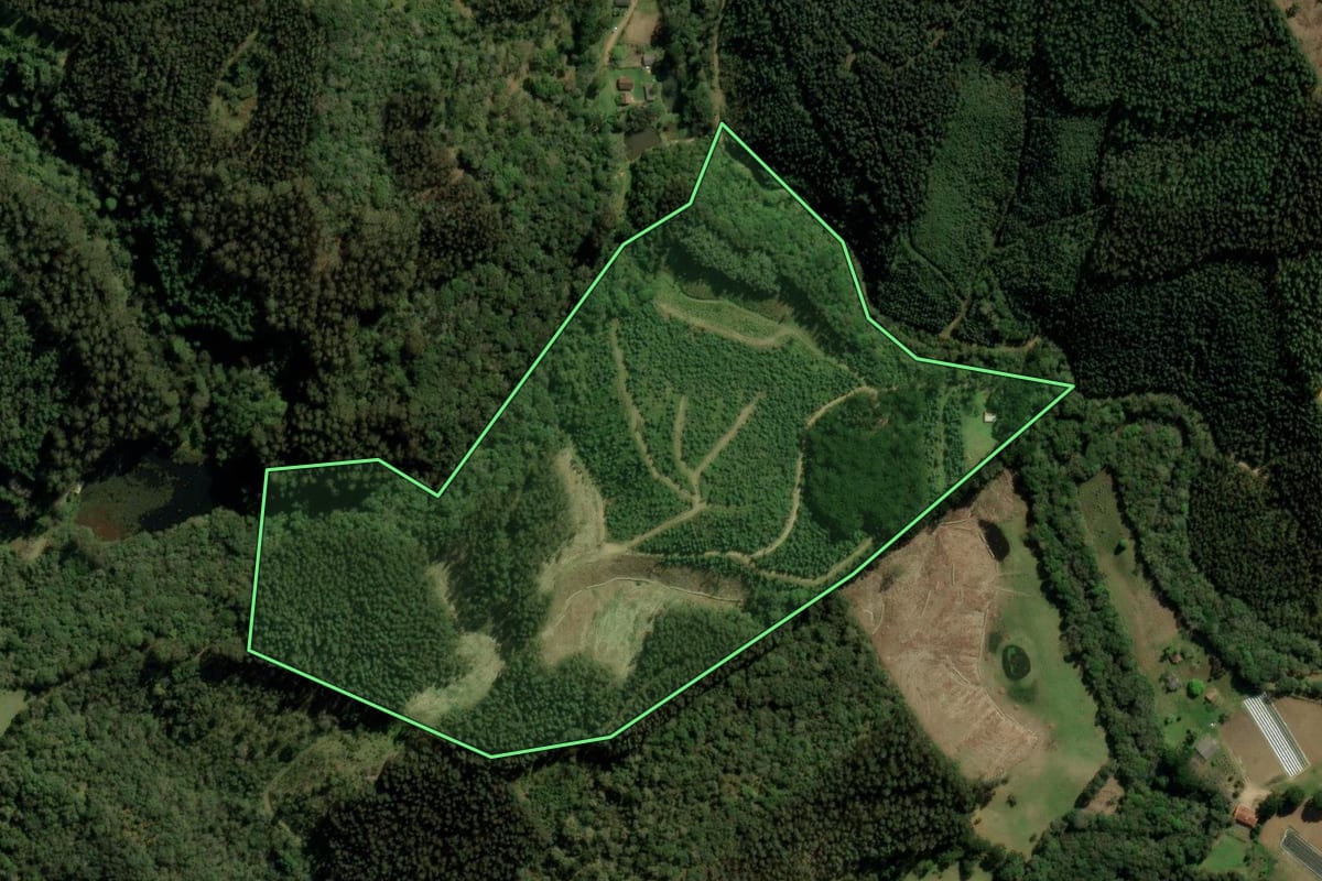 Imagem de satélite do imóvel rural em Bocaiúva do Sul (PR), com o contorno declarado no CAR desenhado por cima.