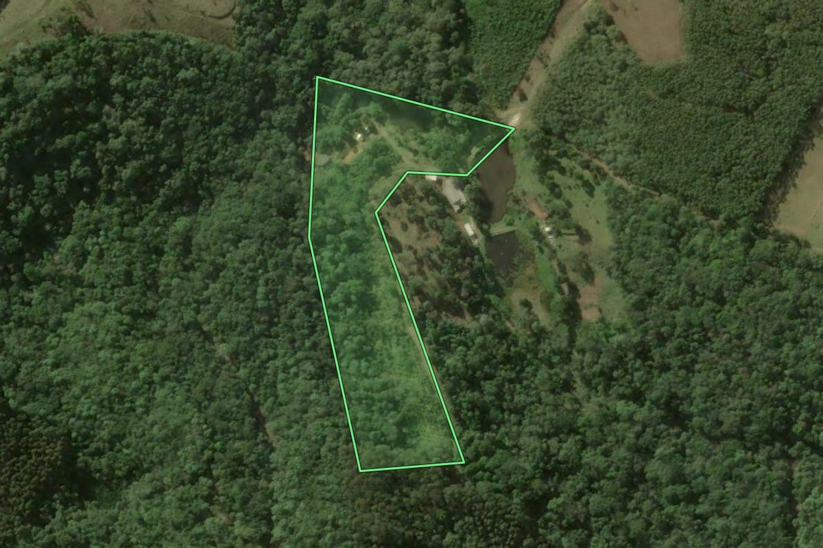Imagem de satélite do imóvel rural em Bocaiúva do Sul (PR), com o contorno declarado no CAR desenhado por cima.