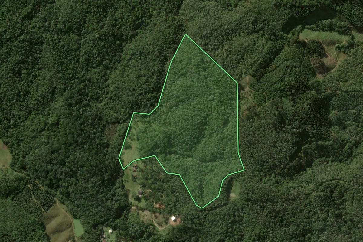 Imagem de satélite do imóvel rural em Bocaiúva do Sul (PR), com o contorno declarado no CAR desenhado por cima.