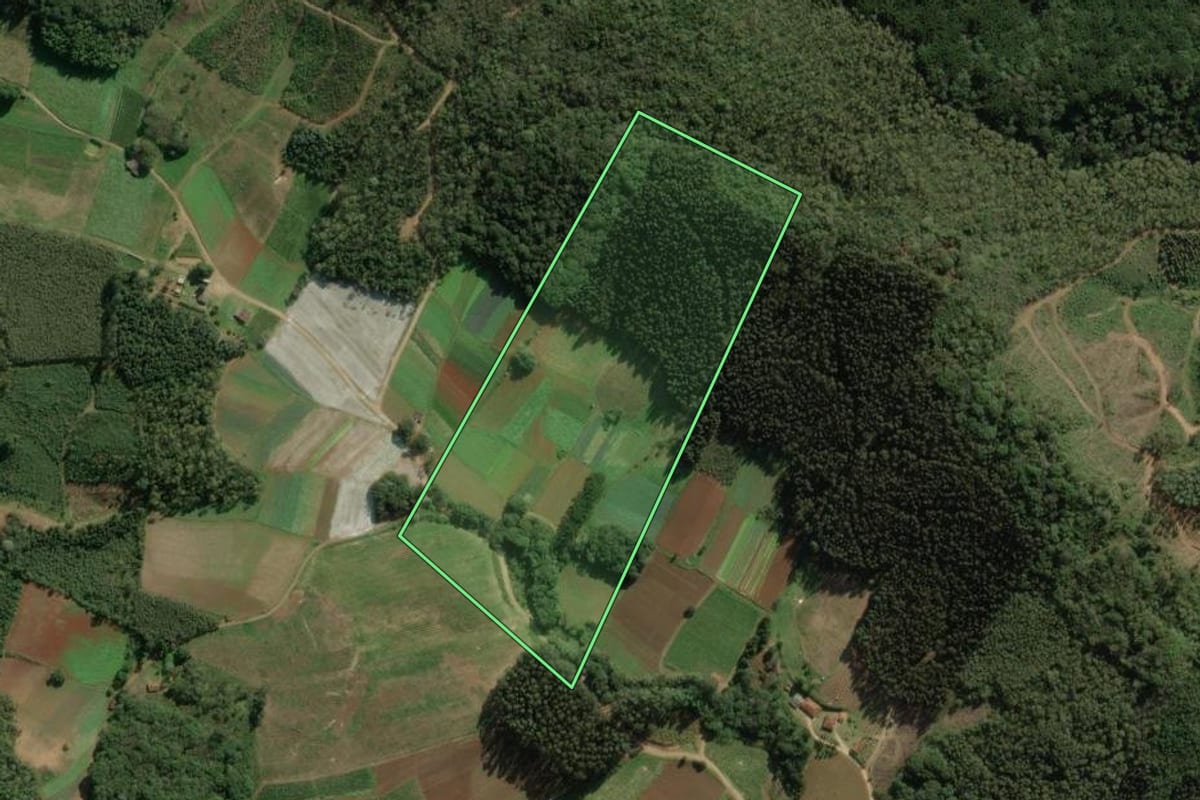 Imagem de satélite do imóvel rural em Bocaiúva do Sul (PR), com o contorno declarado no CAR desenhado por cima.