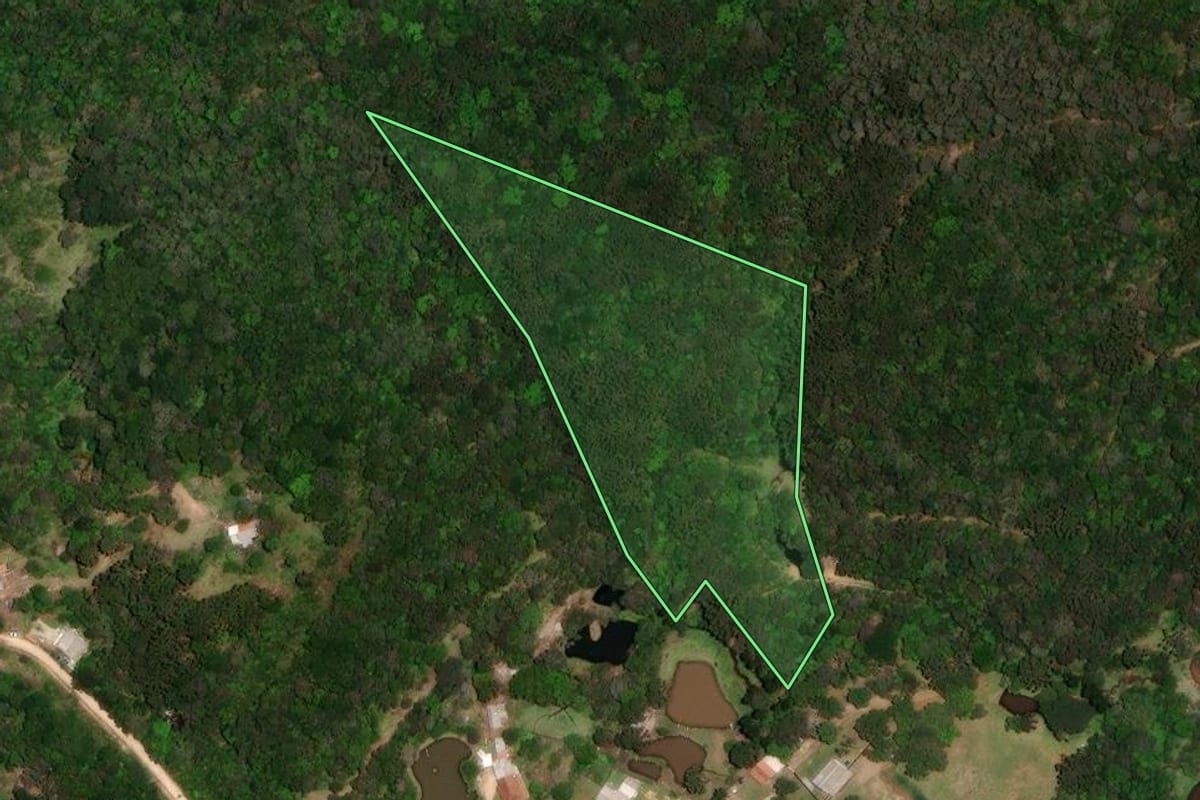 Imagem de satélite do imóvel rural em Bocaiúva do Sul (PR), com o contorno declarado no CAR desenhado por cima.