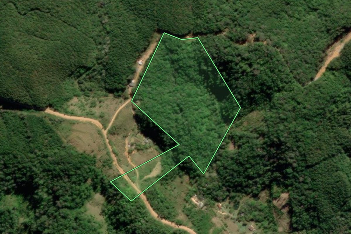 Imagem de satélite do imóvel rural em Bocaiúva do Sul (PR), com o contorno declarado no CAR desenhado por cima.