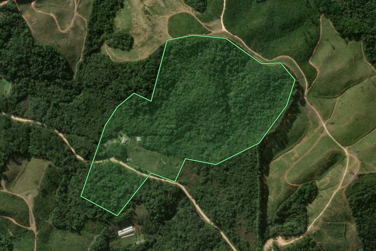 Imagem de satélite do imóvel rural em Bocaiúva do Sul (PR), com o contorno declarado no CAR desenhado por cima.