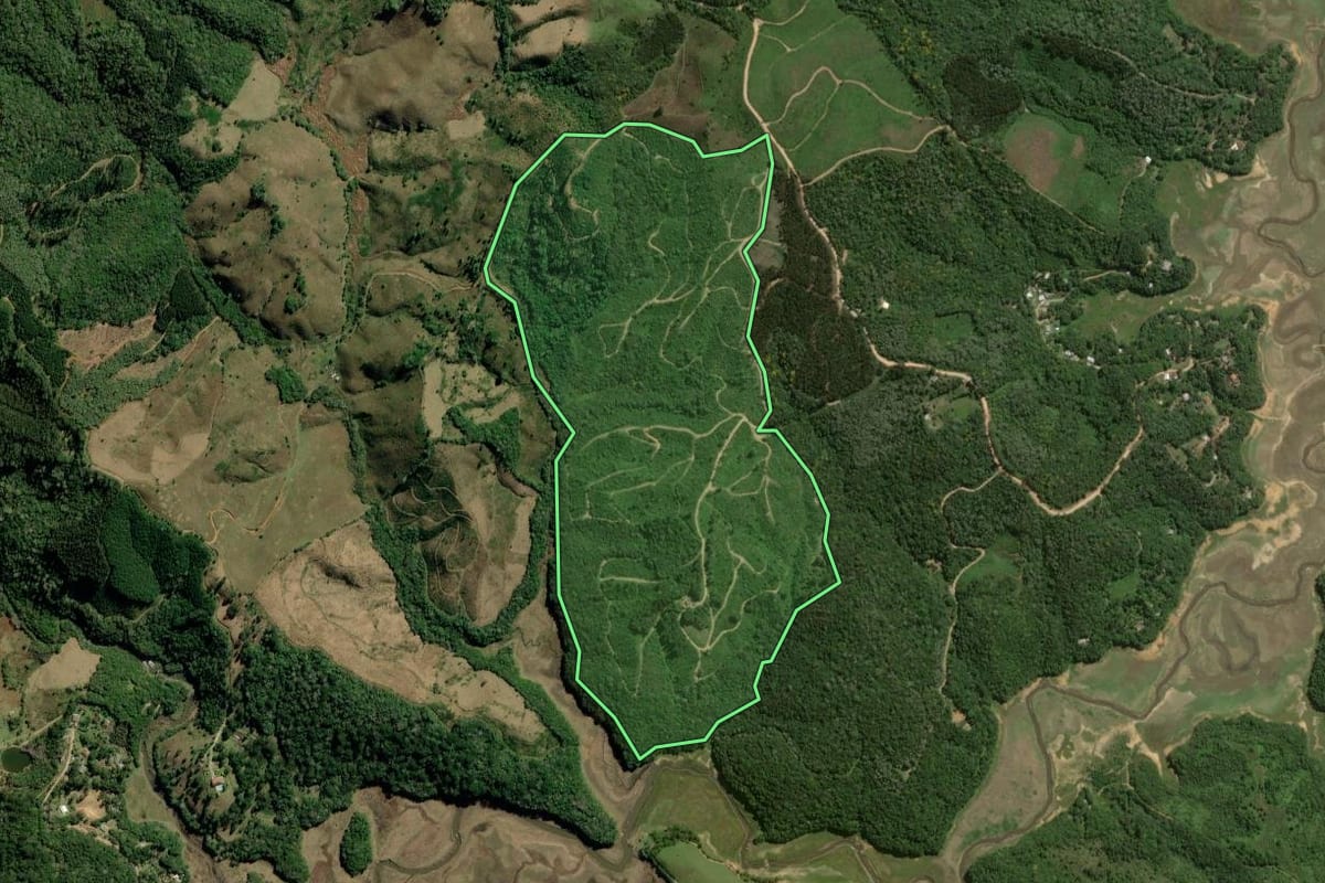 Imagem de satélite do imóvel rural em Bocaiúva do Sul (PR), com o contorno declarado no CAR desenhado por cima.