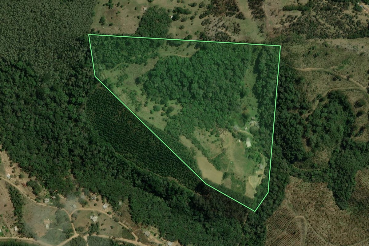 Imagem de satélite do imóvel rural em Bocaiúva do Sul (PR), com o contorno declarado no CAR desenhado por cima.