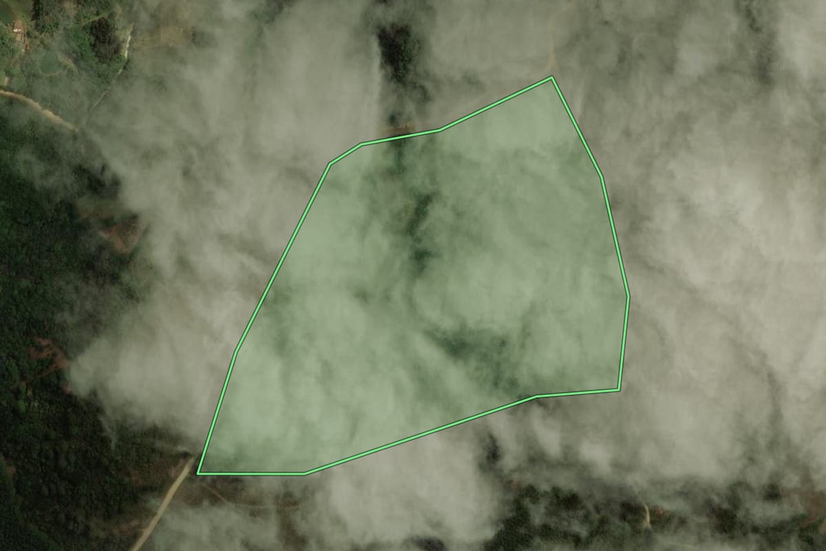 Imagem de satélite do imóvel rural em Bocaiúva do Sul (PR), com o contorno declarado no CAR desenhado por cima.