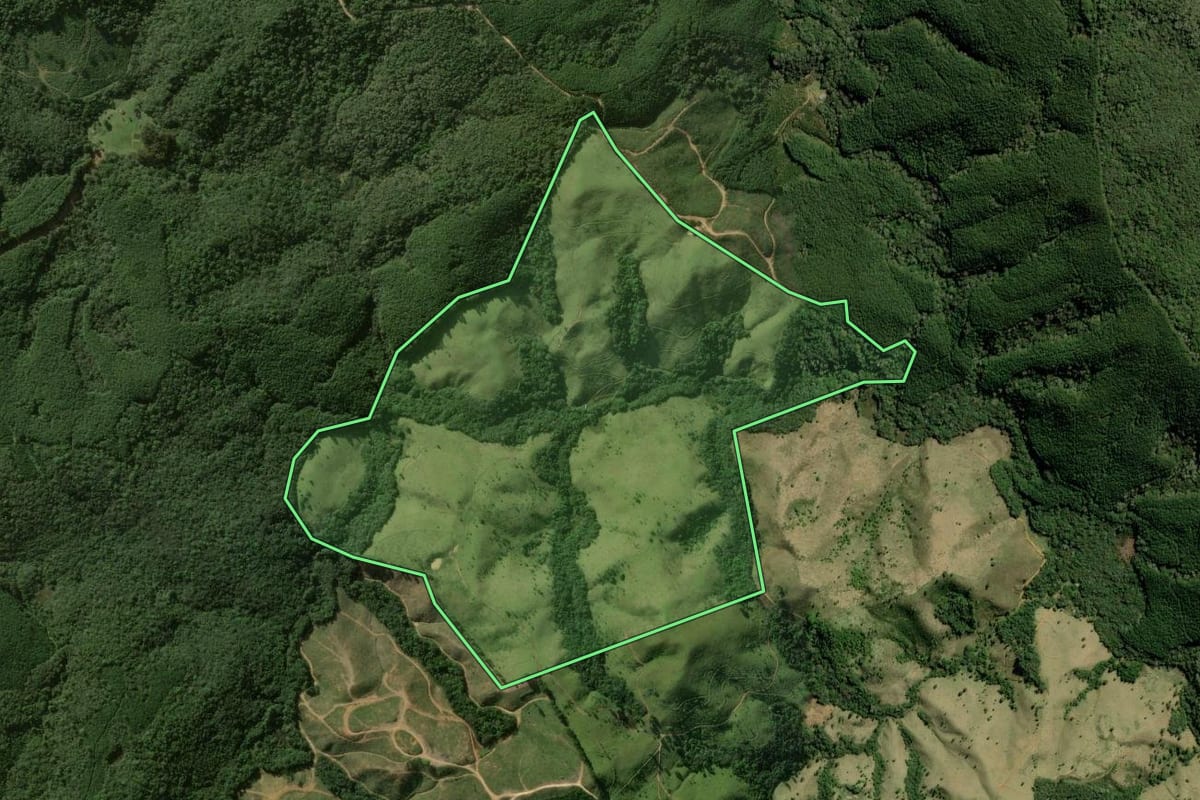 Imagem de satélite do imóvel rural em Bocaiúva do Sul (PR), com o contorno declarado no CAR desenhado por cima.