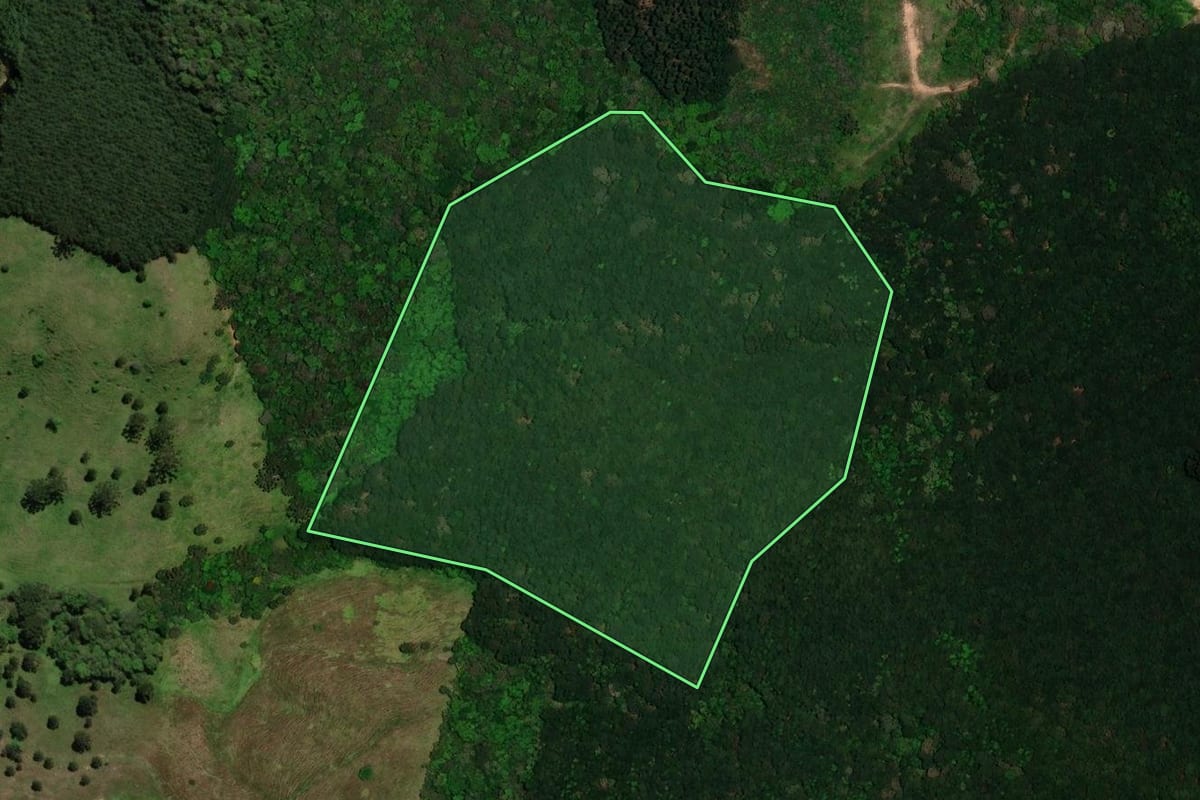 Imagem de satélite do imóvel rural em Bocaiúva do Sul (PR), com o contorno declarado no CAR desenhado por cima.