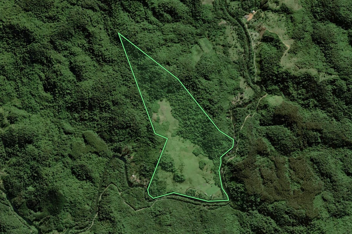 Imagem de satélite do imóvel rural em Bocaiúva do Sul (PR), com o contorno declarado no CAR desenhado por cima.