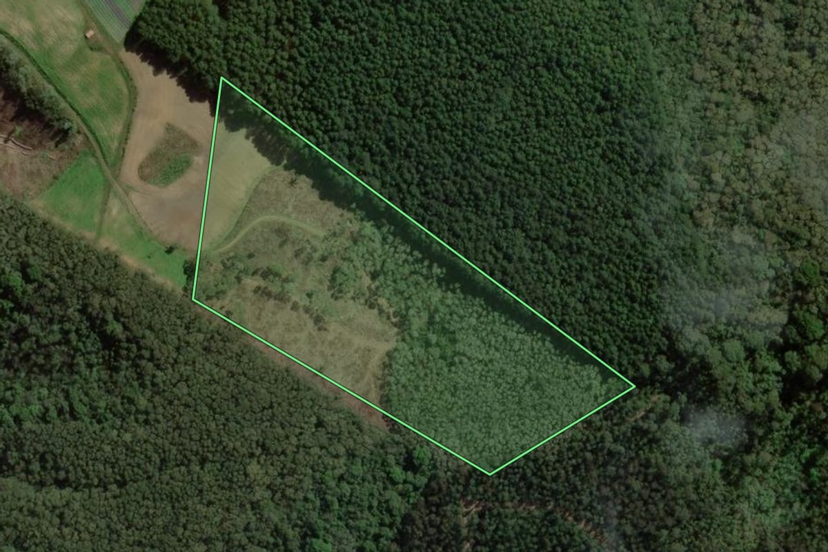 Imagem de satélite do imóvel rural em Bocaiúva do Sul (PR), com o contorno declarado no CAR desenhado por cima.