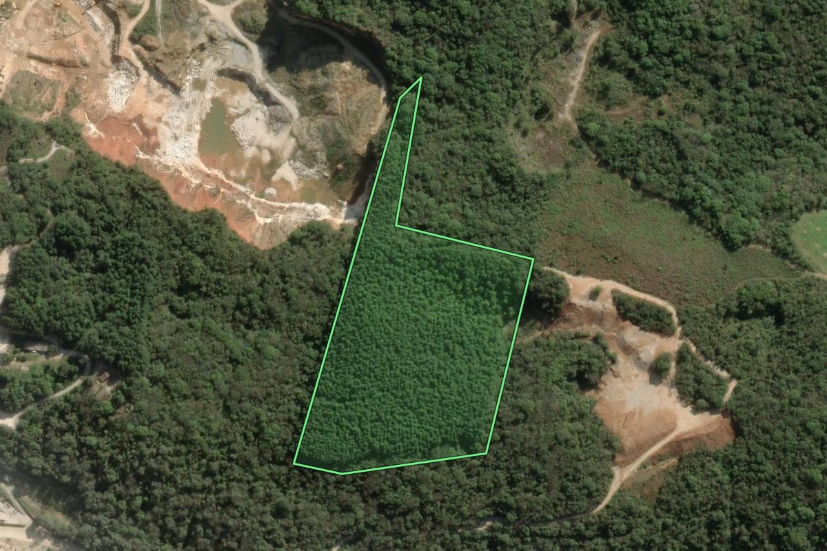 Imagem de satélite do imóvel rural em Bocaiúva do Sul (PR), com o contorno declarado no CAR desenhado por cima.